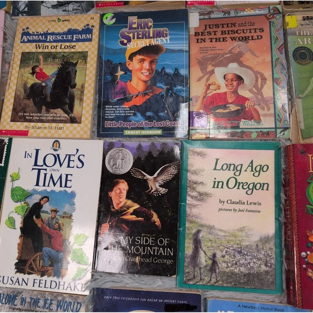 Lot of 41 Books Homeschool Young Adults YA PRE-Teen Youth Children Mix